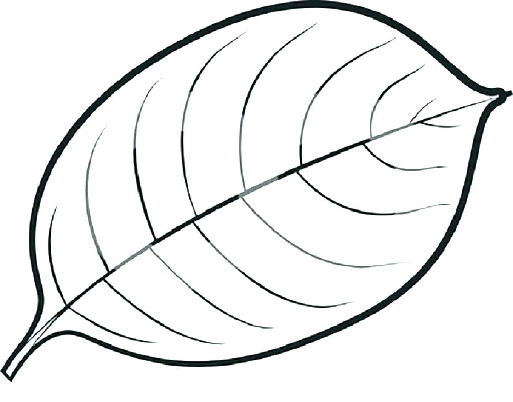 1000x783 Leaf Coloring Pages For Preschool Fall Coloring Pages Printable