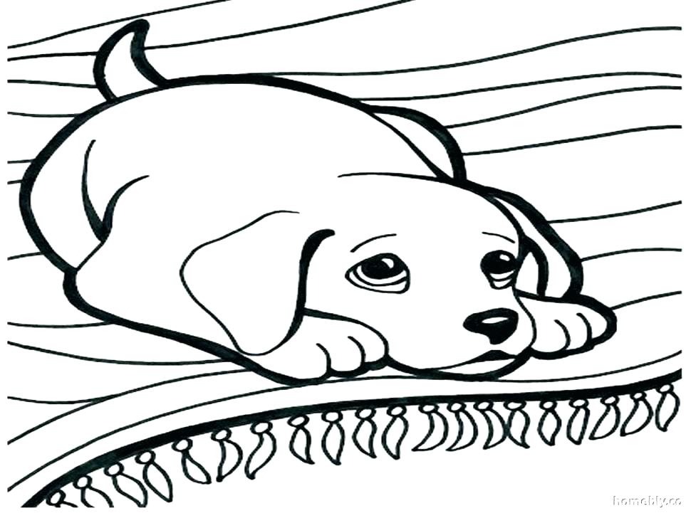 970x728 Leafeon Coloring Pages Corgi Coloring Pages Dog Corgi Dog Coloring