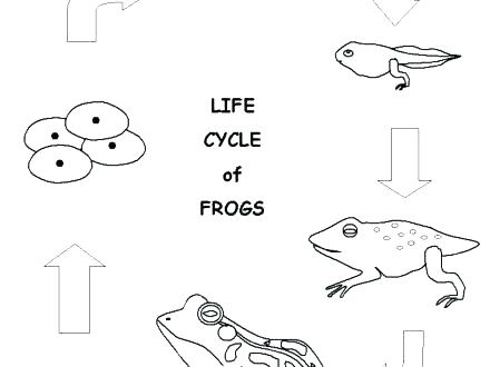 440x330 Leap Frog Coloring Pages Kids Coloring Sheet Printable Coloring