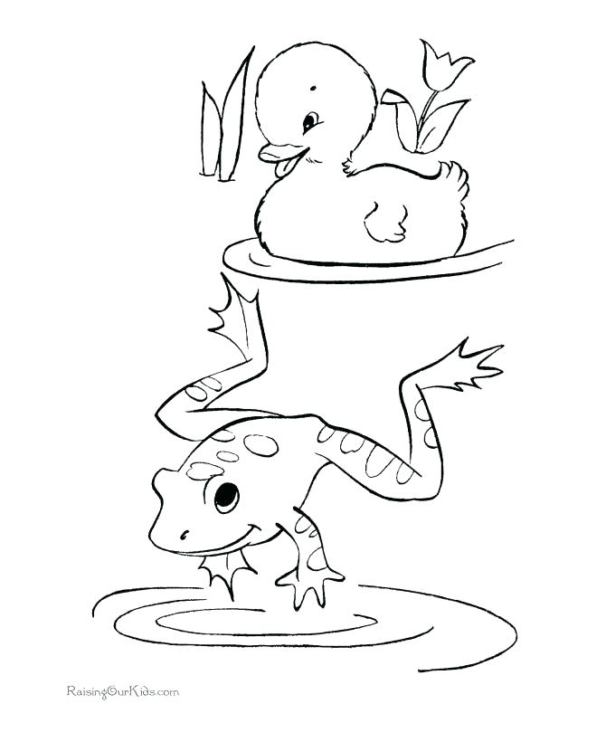 670x820 Leapfrog Scout Coloring Pages