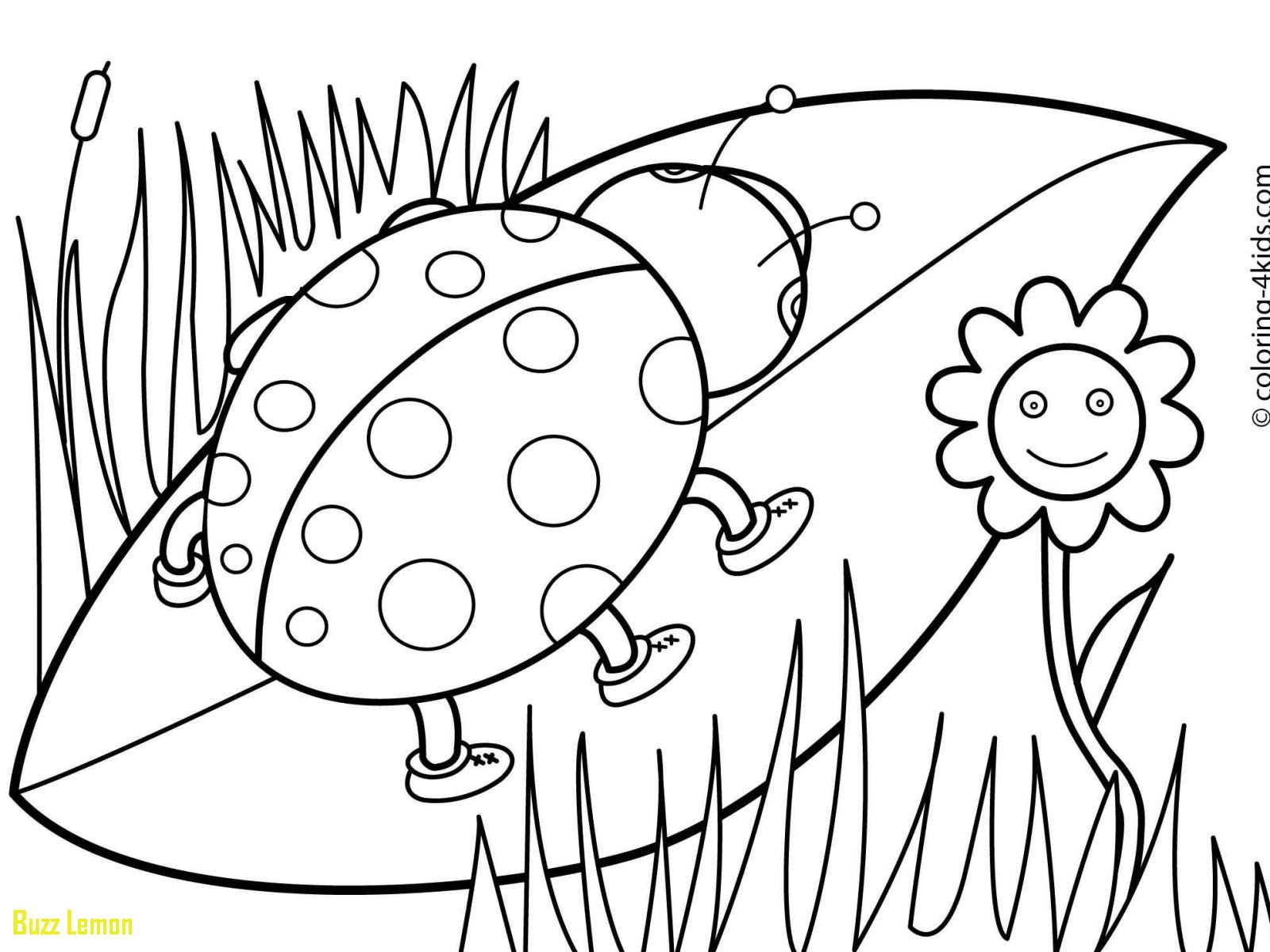 1600x1200 Beautiful Free Preschool Coloring Pages Buzz Coloring