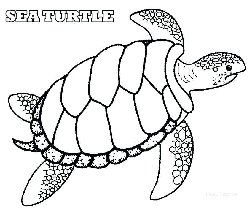 850x731 Baby Sea Turtle Coloring Page Cute Turtle Coloring Pages Turtle
