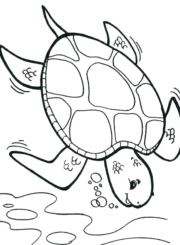 Leatherback Sea Turtle Coloring Page at GetDrawings | Free download