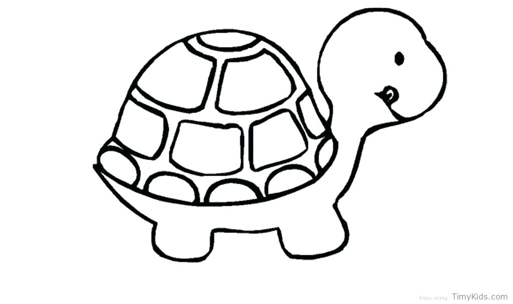 1024x606 Sea Turtle Coloring Pages Printable Color Bros