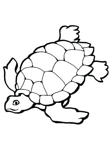 Leatherback Sea Turtle Coloring Page at GetDrawings | Free download