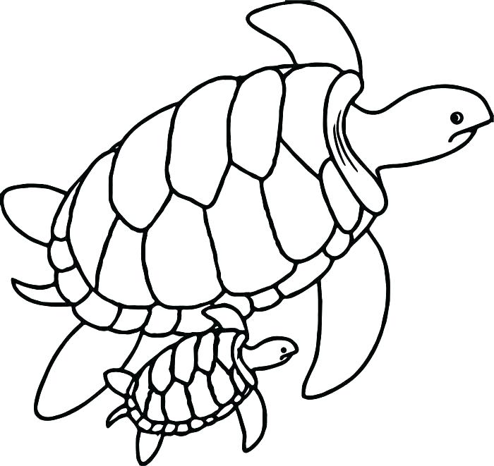 700x661 Sea Turtle Coloring Sheet