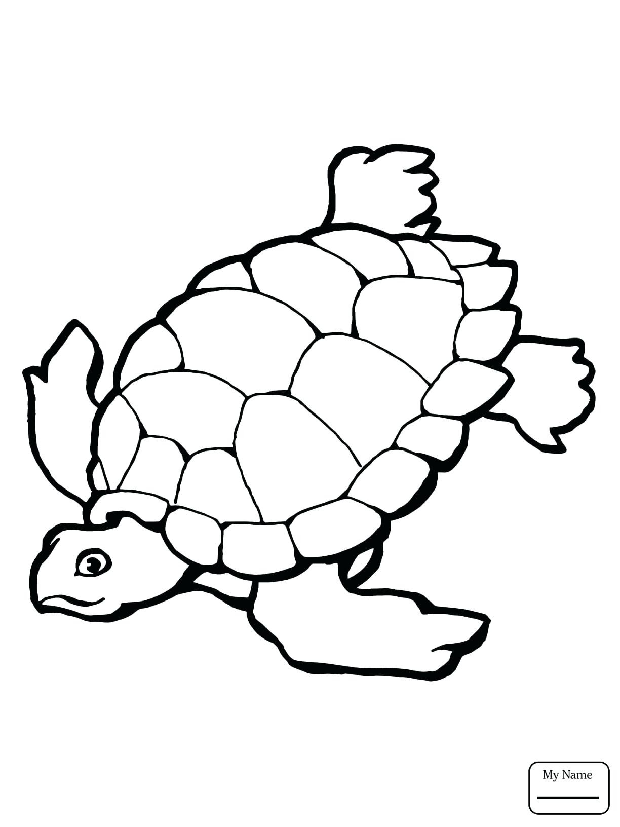 1224x1632 Fresh Sea Turtle Coloring Pages For Kids With Free Printable