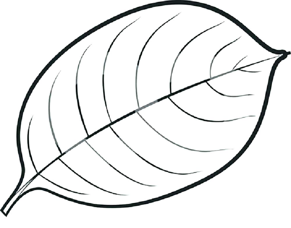 1000x783 Leaves Coloring Pages Download And Jungle Leaves Coloring Pages