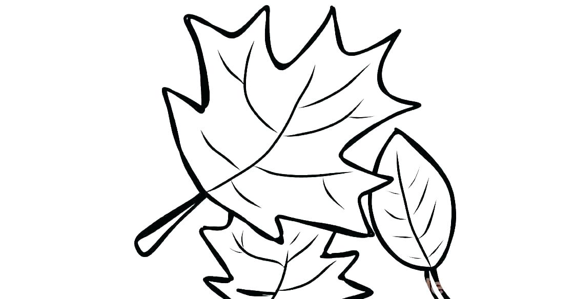 1120x584 Free Printable Autumn Coloring Pages