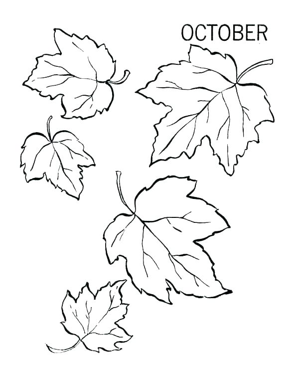 600x734 Fall Autumn Coloring Pages Leaves Coloring Pages Printable Fall