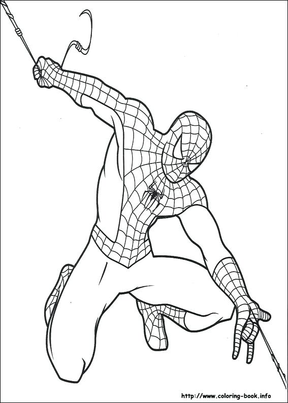 567x794 Spiderman Color Page Drawings To Color Coloring Pages On Coloring
