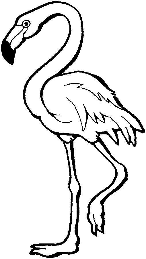 509x900 This Coloring Page For Kids Features A Flamingo Standing On One