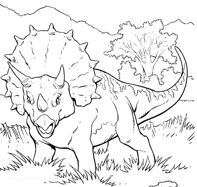 655x624 Dinosaurs Coloring Page Dinosaur Coloring Pages To Print Dinosaur
