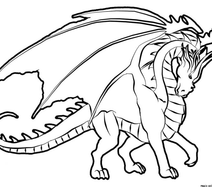 678x600 Free Coloring Pages Of Dragons To Print Free Dragon Coloring Pages