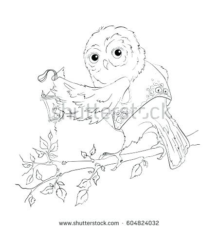 450x470 Lantern Coloring Pages Owl With Lantern Coloring Pages Vector