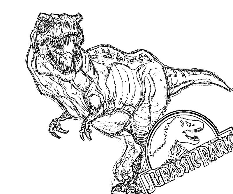 800x667 Jurassic Park Coloring Pages Perfect Jurassic Park Coloring Pages