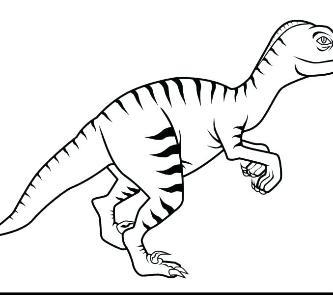 678x600 Jurassic Park Coloring Page Coloring Pages Baby Page Park