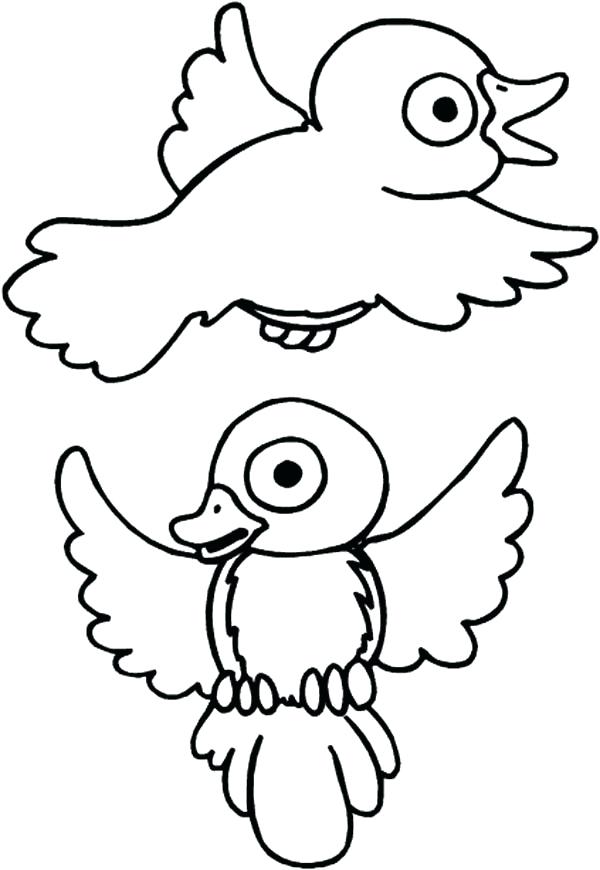 600x870 Robin Coloring Page Print Drawing Robin Bird Coloring Page In Full