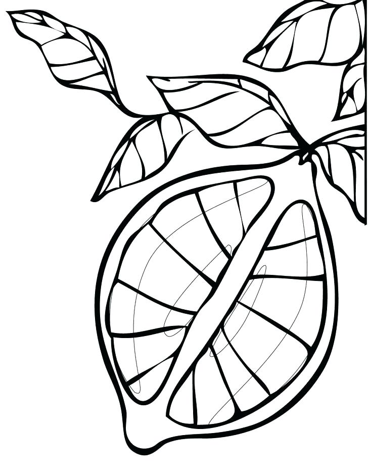 728x942 Lemon Coloring Page