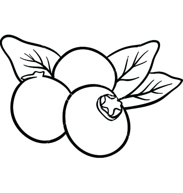 600x632 Lemon Coloring Page Fruits And Vegetables Slice Fresh Coloring