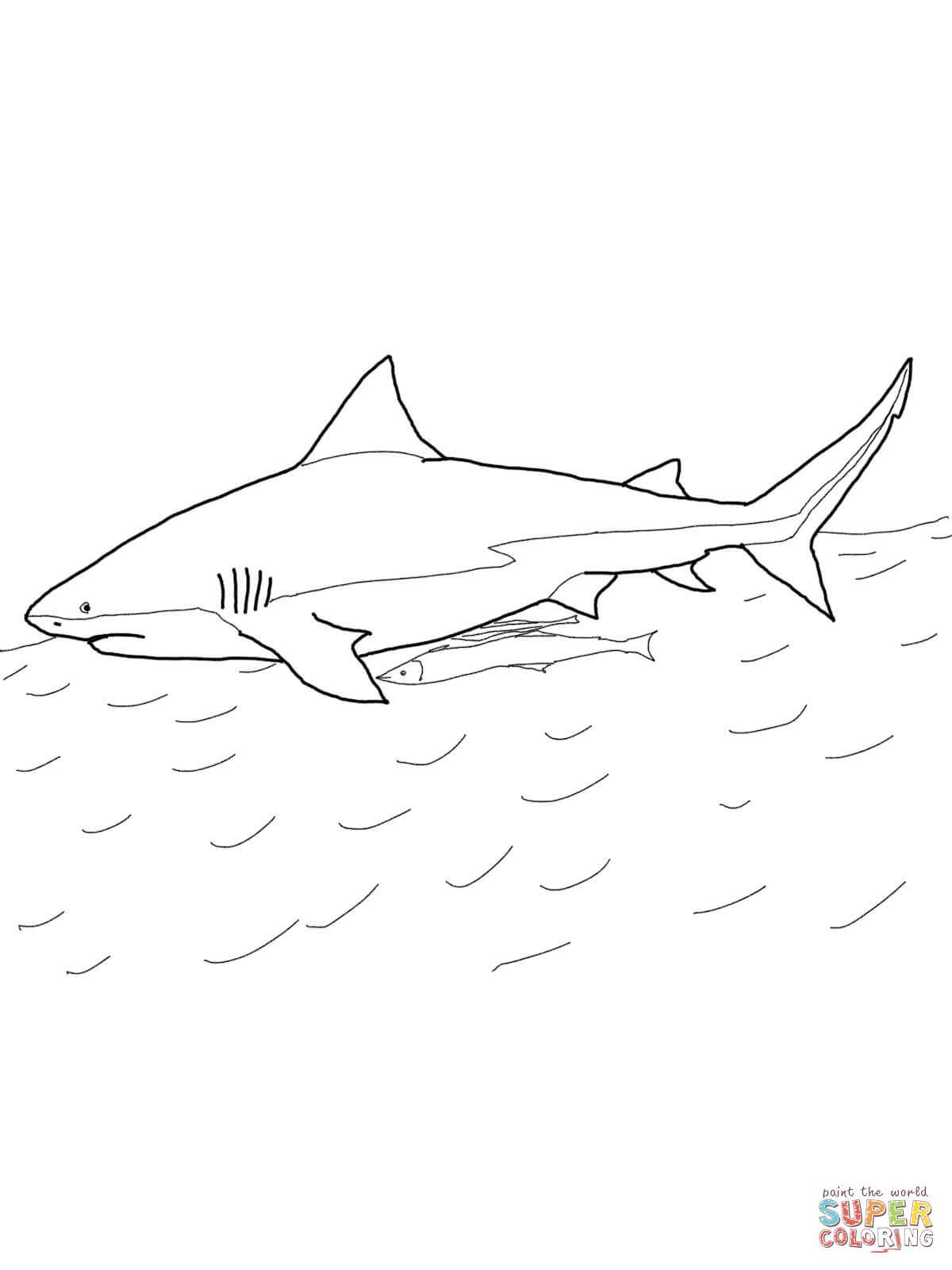 1200x1600 Lemon Shark Coloring Page