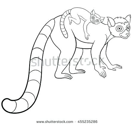 450x422 Lemur Coloring Page Coloring Pages Mother Lemur Stands With Her