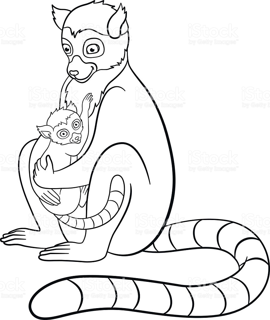 864x1024 Unique Lemur Page To Color Collection Printable Coloring Sheet