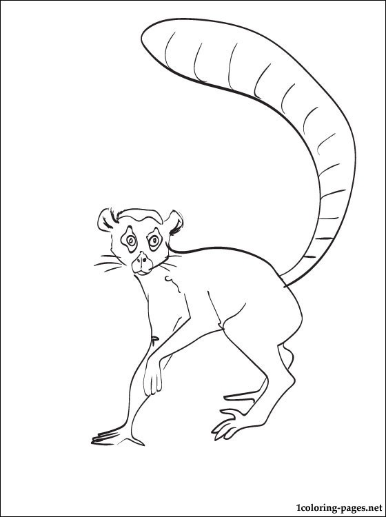 560x750 Coloring Page Lemur Coloring Pages