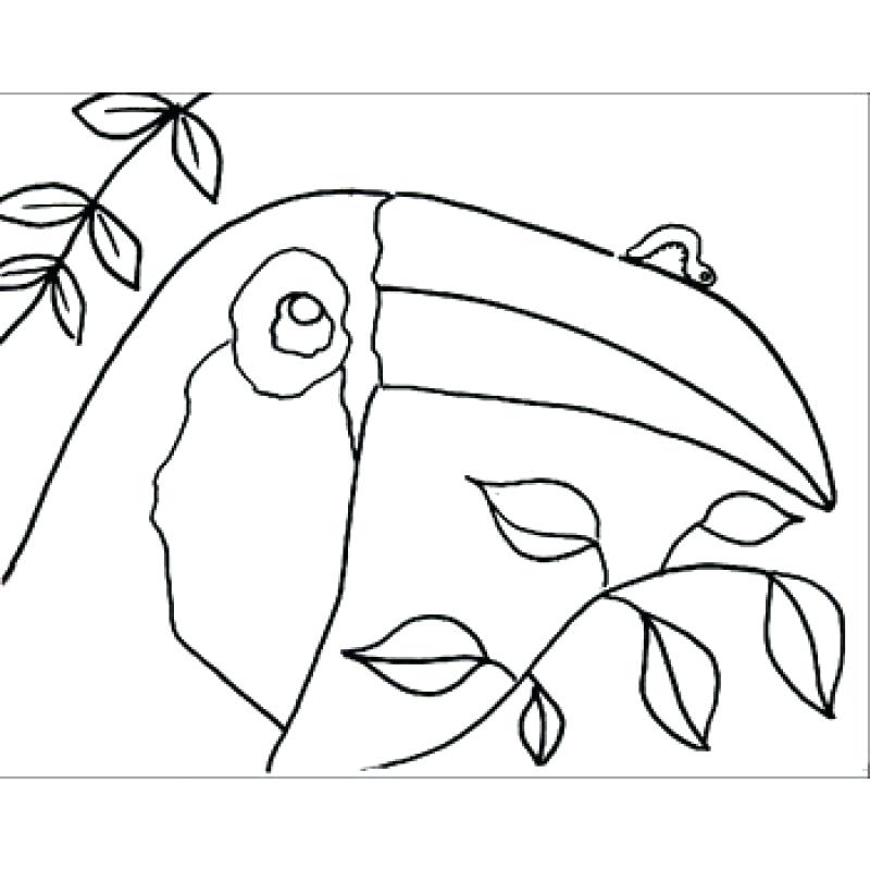 800x800 Leo Coloring Pages Ideas Coloring Pages On Free Printable Coloring