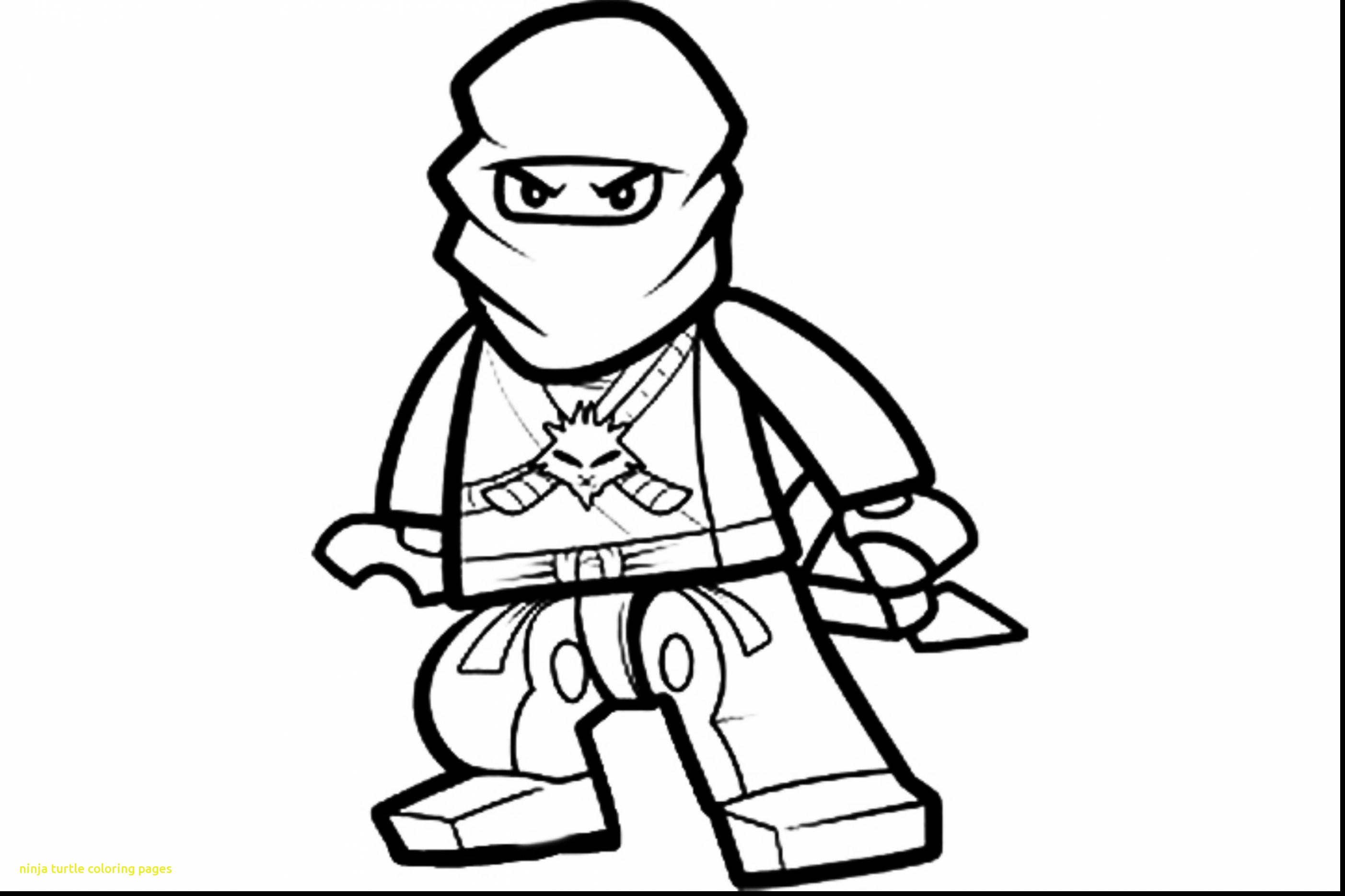 2806x1870 Teenage Ninja Turtles Coloring Pages