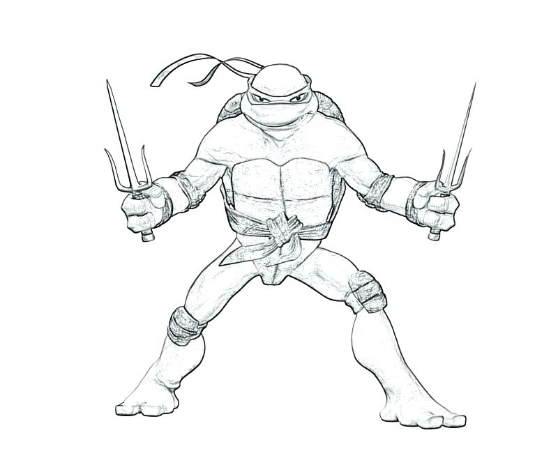800x667 Teenage Mutant Ninja Turtles Coloring Pages Printable Teenage