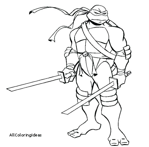 634x627 Teenage Mutant Ninja Turtles Leonardo Coloring Pages Printable