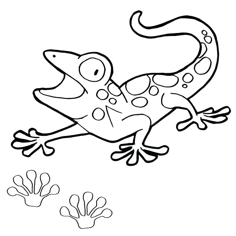 800x800 Gecko Coloring Pages Leopard Gecko Colouring Pages Page Gecko