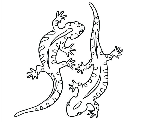 585x481 Gecko Coloring Pages Lizard Coloring Pages Lizard Animal Coloring