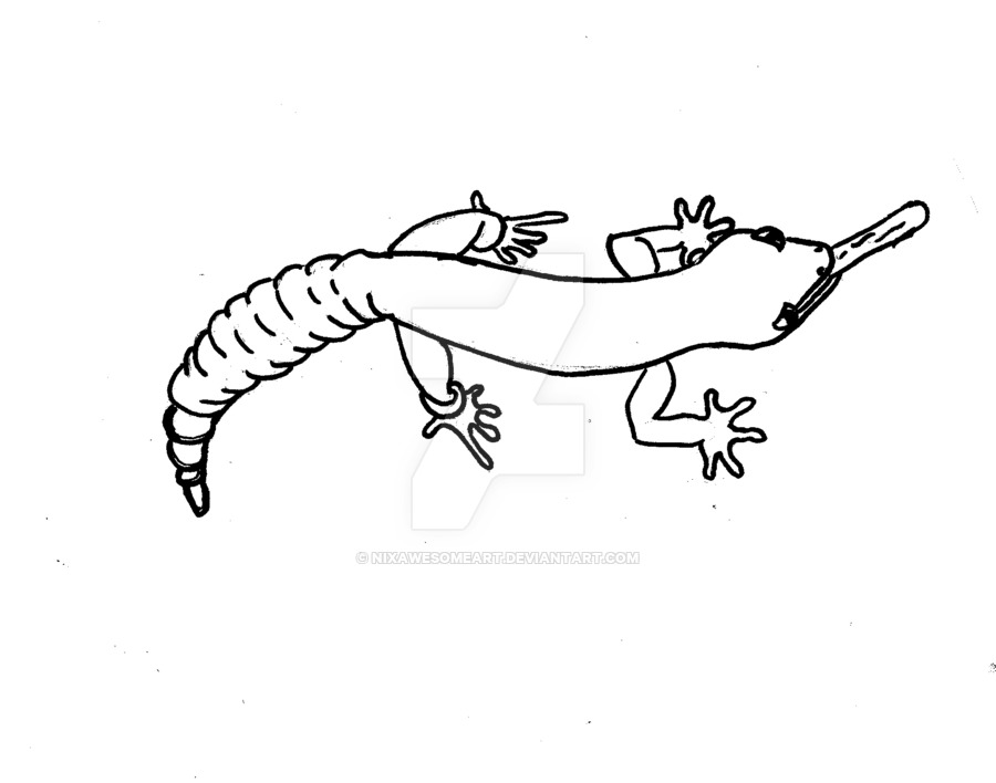 900x708 Leopard Gecko Coloring Page