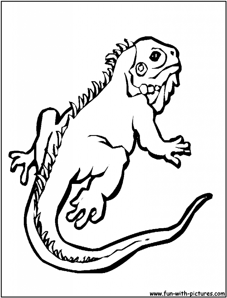 780x1024 Lifetime Lizardring Pages Page Free Printable Crested Geckouring
