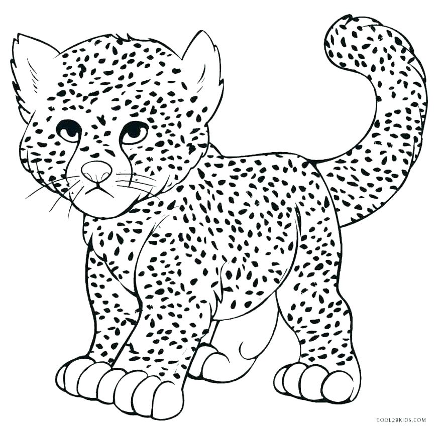 878x857 Color Cheetah Color Cheetah Cheetah Coloring Book Coloring Pages