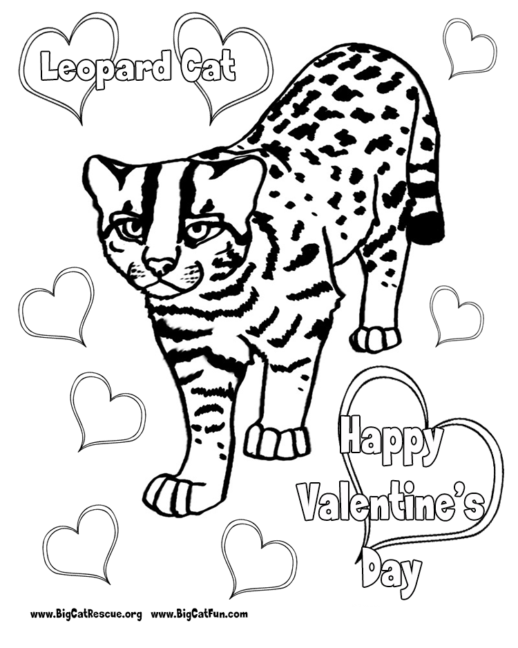750x938 Leopard Coloring Pages To Download And Print For Free