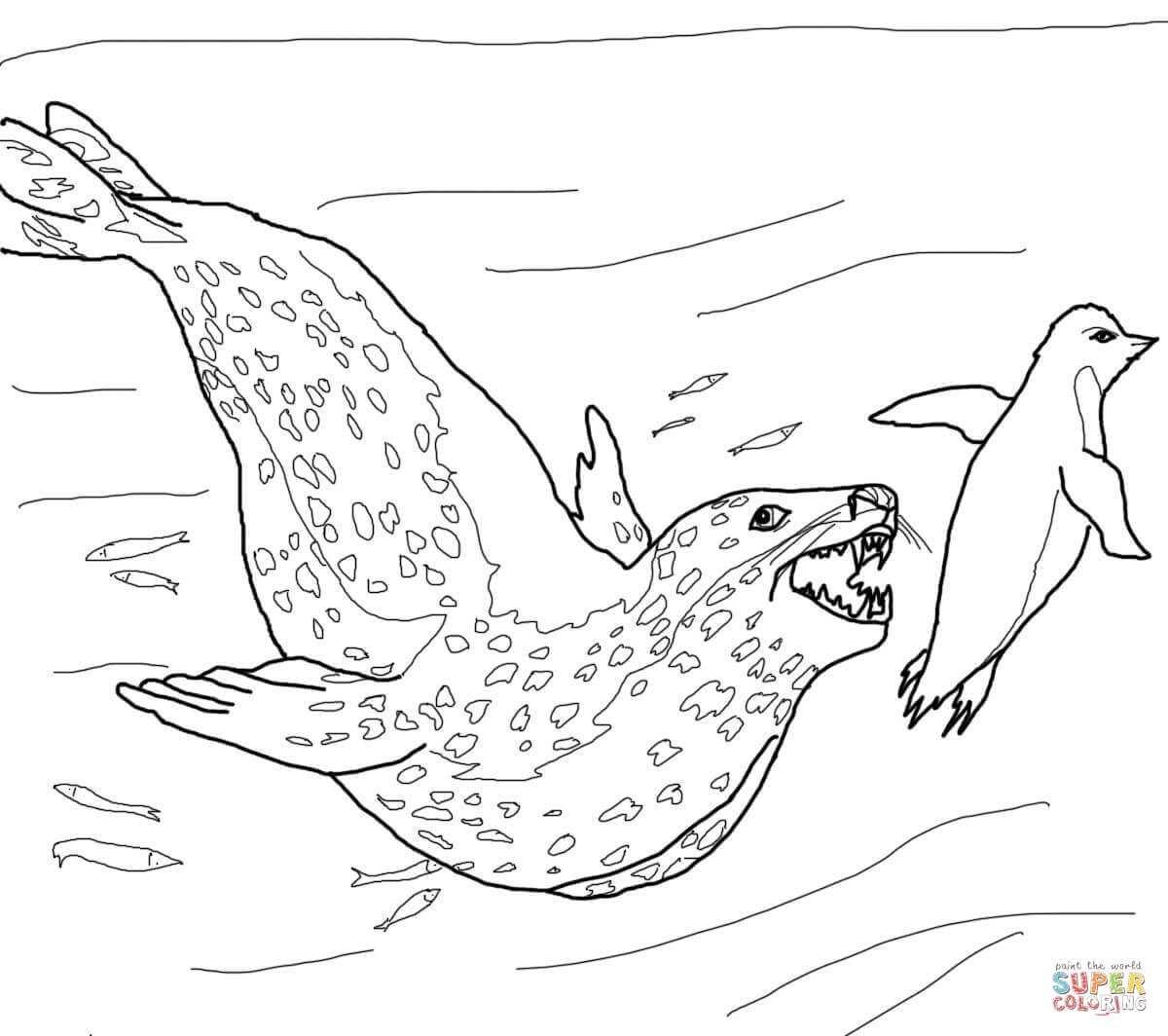 1200x1064 Leopard Seal Coloring Pages Download And Print For Free Coloring