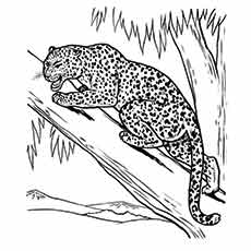 230x230 Top Free Printable Leopard Coloring Pages Online