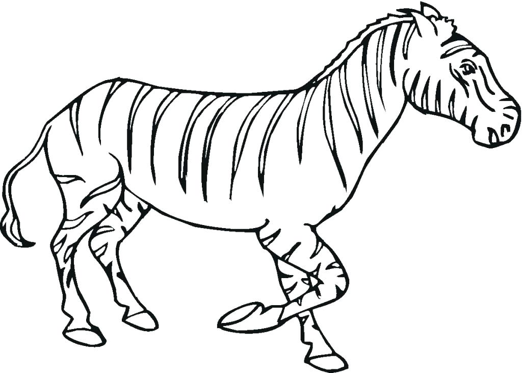 1024x731 Zebra Print Coloring Pages Style Printable Zebra Zebra Print