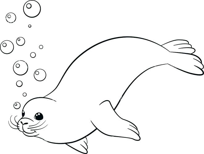 661x500 Baby Harp Seal Coloring Pages Click To See Printable Version