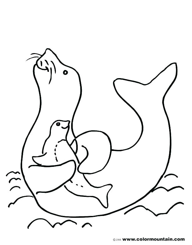 615x784 Seal Coloring Pages Leopard Pictures To Color Leopard Seal