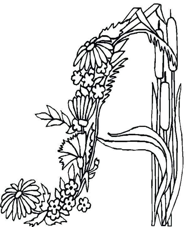 600x722 Letter A Coloring Pages Alphabet Flowers Letter A Coloring Pages