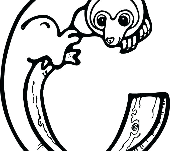 678x600 F Coloring Pages Letter F Coloring Pages Free Letter F Is