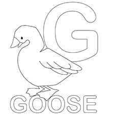 230x230 Top Free Printable Letter G Coloring Pages Online