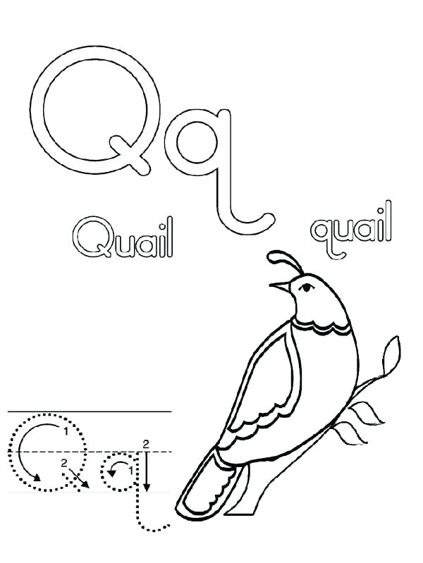 600x799 Letter L Coloring Pages Alphabet Of Children Colouring Pages L