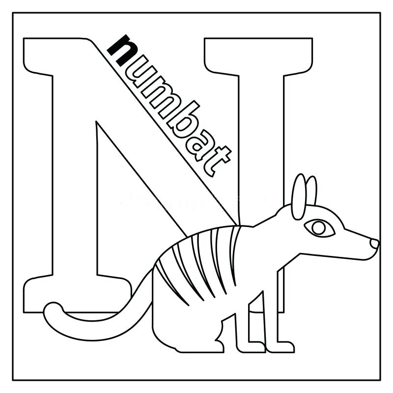 800x800 Letter N Coloring Page Letter N Coloring Sheet Page E Pages