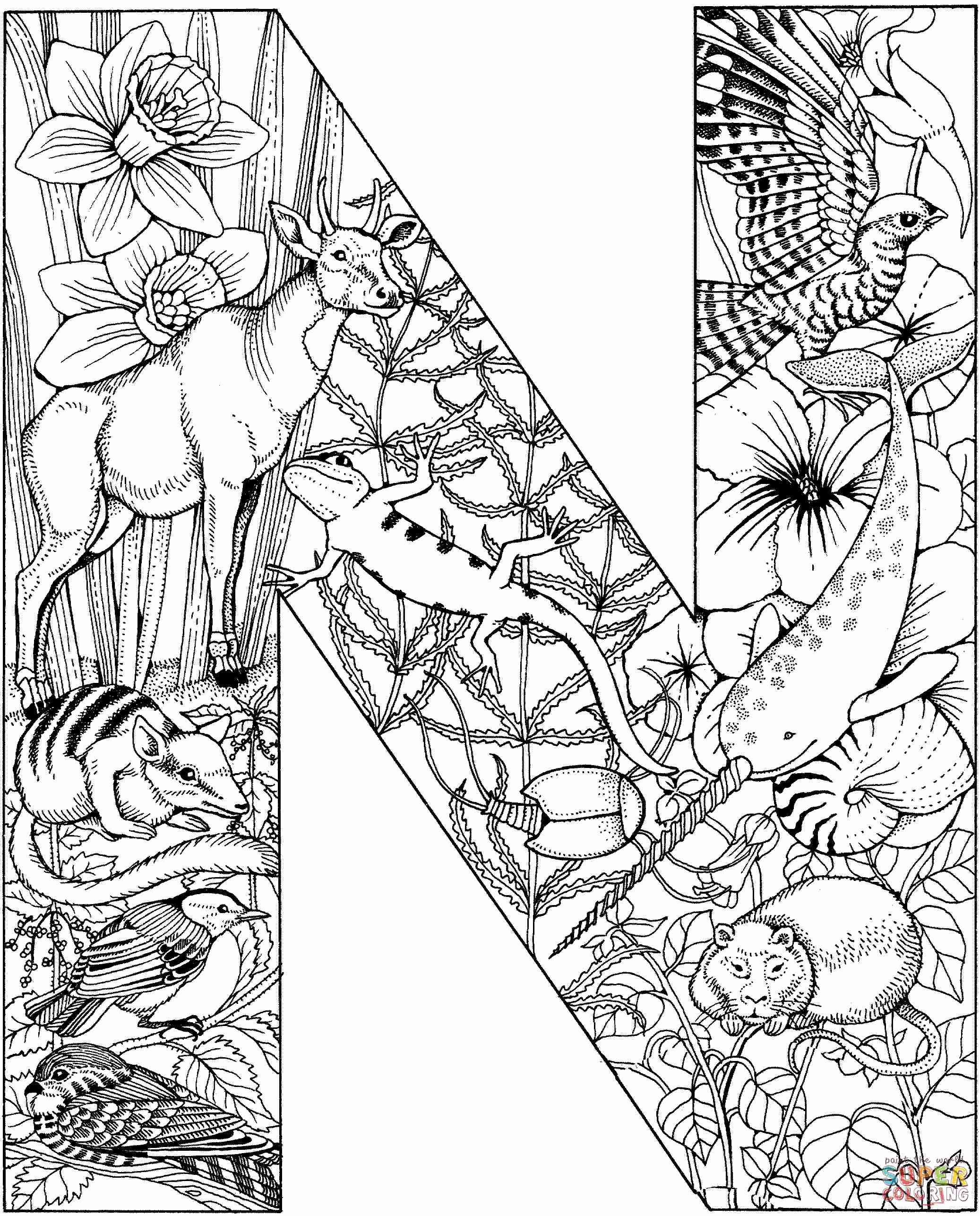 2074x2573 Letter N Coloring Pages Preschool Printable For Kids Point Stuning