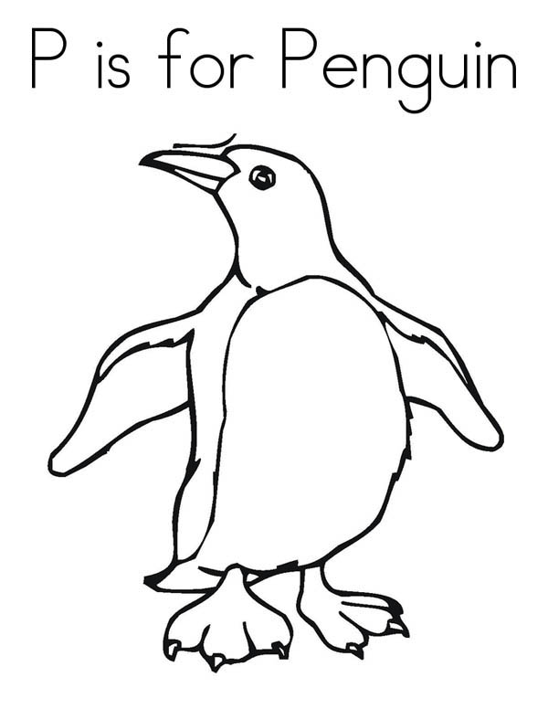 600x776 Letter P Penguin Coloring Pages